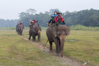 Turistas en un paseo en elefante en el Parque Nacional Chitwan, Nepal - Imagen de Oliver Foerstner