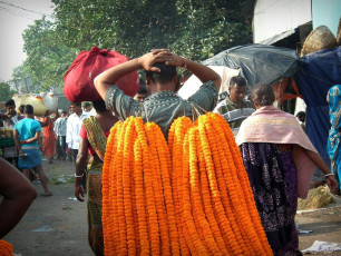 Vendedor de flores llevando flores a su tienda en el 'Mercado Barabajar de la Flor' en la madrugada cerca del Puente Howrah, Calcuta - Imagen de Shooting Sinha