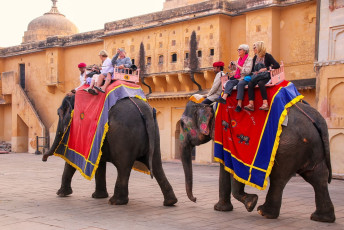 Elefantes con túnicas brillantes transportan a turistas extranjeros en el fuerte Amber, Jaipur. El paseo comienza en el aparcamiento, sigue por la empinada cuesta y termina en el patio Jaleb Chowk, a la entrada del fuerte.