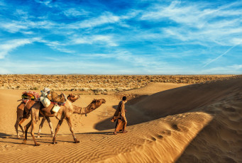 Cameleer de la India (camellero) con camellos en las dunas del desierto de Thar, Jaisalmer, Rajasthan © DR Travel Photo and Video / Shutterstock