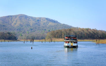 Canotaje en el lago Periyar, Thekkady; lugar turístico famoso en Kerala, con árboles sumergidos en el lago y rodeado por la reserva de tigres de Periyar © PREJU SURESH / Shutterstock