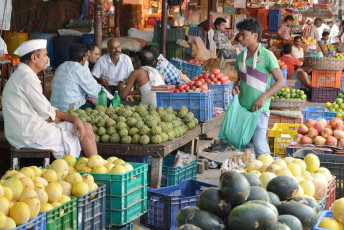 Comerciante indio en su tienda de venta de piñas en el mercado local y otras frutas exóticas, Ahmedabad - Imagen de rkl-foto