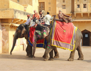 Turistas disfrutan de un paseo en elefante en el Fuerte Amber, Jaipur - Imagen de Kokhanchikov