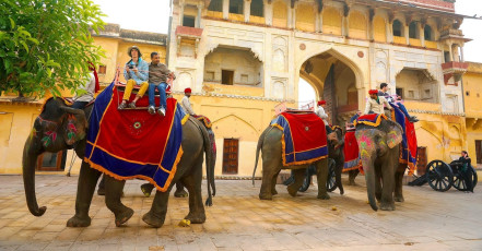 Elefantes decorados llevan pasajeros a través de la puerta en el Fuerte Amber en Jaipur, Rajasthan - Imagen de Moroz Nataliya