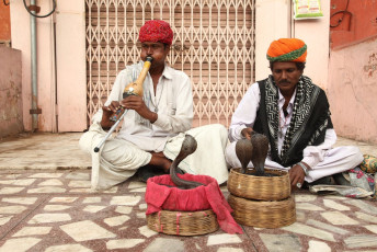 Encantadores de serpientes actúan frente al Palacio Hawa Mahal en Jaipur, Rajasthan. El encantamiento de serpientes es un arte popular realizado ampliamente en la India - Imagen de AJP