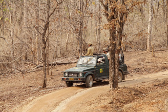 Fotógrafos esperando con impaciencia avistamiento de tigre en Safari en Jeep en la Reserva de Tigres Pench, Seoni, India - Foto por Ajay Kumar Singh