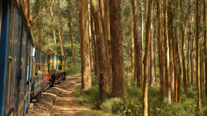 Tren de juguete Ooty de Nilgiri Mountain Railway en India © chrisontour84 / Shutterstock
