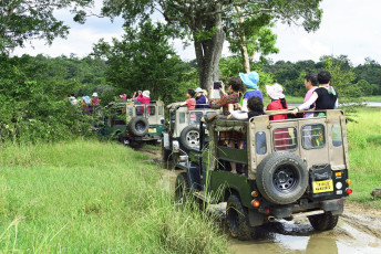 Turistas en jeep de safari, Parque Nacional Minneriya, Sri Lanka © Fmajor