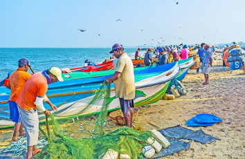 Pescadores después de su primera captura del día en una de las playas de Sri Lanka © Efesenko