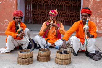 Encantadores de serpientes en la calle Agra. Encantadores de serpientes hipnotizan serpiente tocando un instrumento llamado Pungi Pungi © Eterovic / Shutterstock