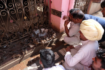 Personas se reúnen alrededor de ratas en el templo de Karni Mat, Deshnok, Bikaner, Rajasthan © Irene M M / Shutterstock