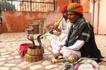Encantadores de serpientes actúan frente al palacio Hawa Mahal en Jaipur, Rajasthan, India. El encantador de serpientes es un arte tribal que se realiza ampliamente en la India© AJP / Shutterstock