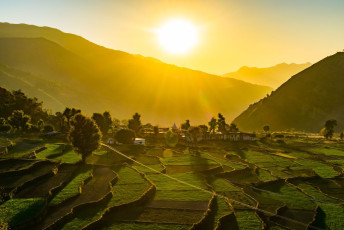 Vista de los campos de trigo de la zona agrícola de Highland durante la salida del sol en la región del Himalaya, Garhwal, Uttarakhand – Nag Tibba Trekking © Amit kg / Shutterstock