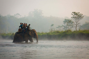 Safari en elefante, Parque Nacional de Chitwan, Nepal - Imagen de Damn12