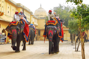 Paseo en elefante en el Fuerte Amer, Jaipur - Foto por Moroz Nataliya