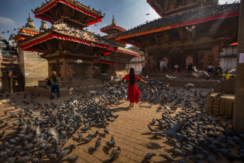 Turista camina entre miles de palomas en la Plaza Durbar, Kathmandu, Nepal © Budi Prakasa / Shutterstock