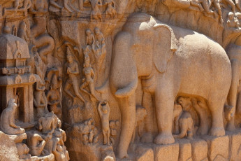 Bajorelieves en Mammallapuram, sur de la India, que representan una escena de la famosa epopeya india Mahabharata. El tallado se hizo en el siglo 7 - Imagen de Jori