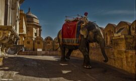 Aspectos Destacados de Rajastán combinados con el Taj Mahal, Khajuraho (Templos Eróticos), Varanasi (Ganges)