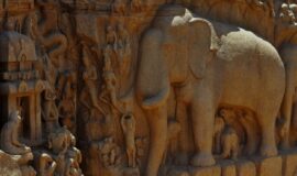 Viaje al Sur de la India – Templos, Tradiciones, Bazares, Remansos, Plantaciones de Té y Especias, Vida Silvestre, Playas