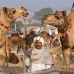 Rika sostiene su camello durante la feria de camellos de Pushkar