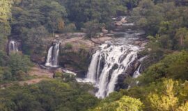 Trekking a las cataratas de Thoovanam en el Santuario de Vida Silvestre de Chinnar, Munnar
