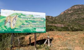 Senderismo en la Reserva de Tigres de Anamalai