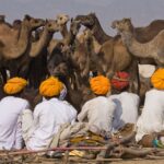 Feria-de-camellos-en-Pushkar-la-mayor-del-mundo